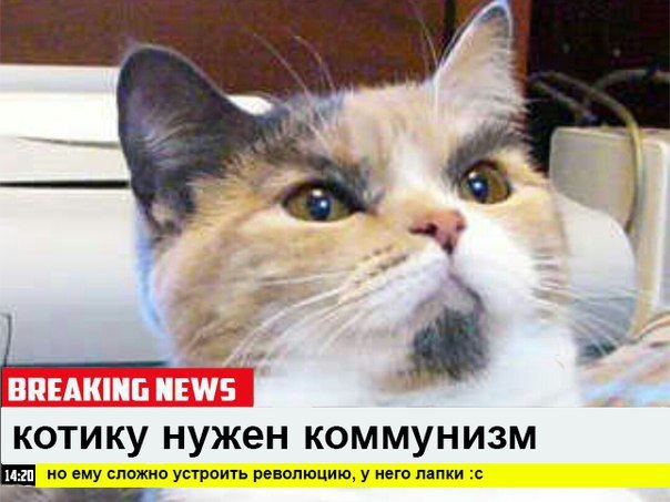 Встрой