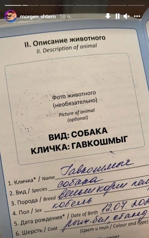 Так себе картинки 27.09.2023