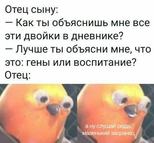 Народная меДИЧина 5020