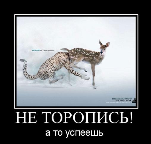 Стартовала продажа Cybertruck