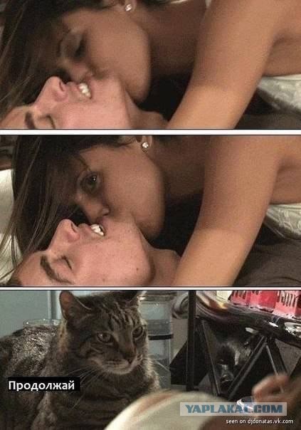 Главный модератор ЯПа
