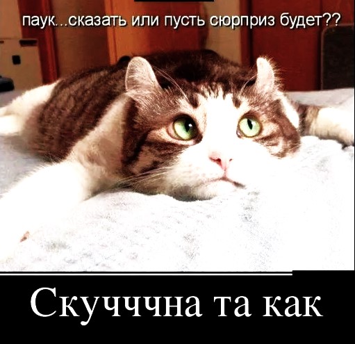 История, к счастью, с хорошим концом: в Уфе спасли котика, попавшего в вентиляцию