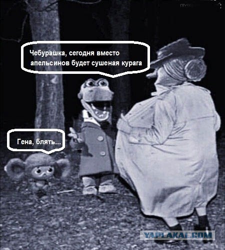 Не очень адекватный юмор