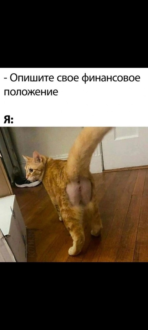 19552509.jpg