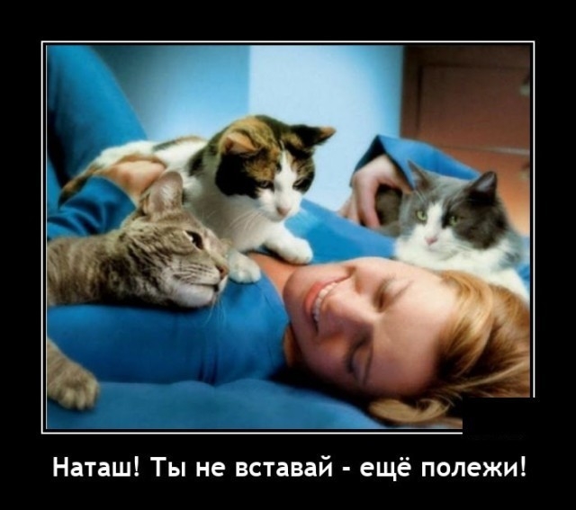 К котовторнику: подборка картинок-баянов с котиками и про котиков. Выпуск 2.