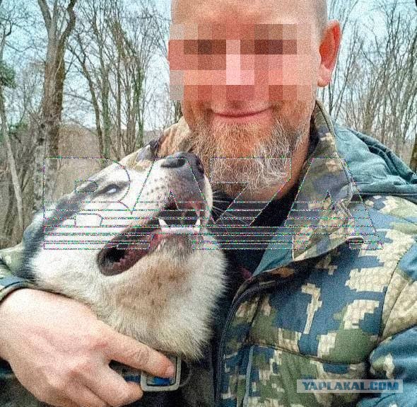 Хозяин хаски, напавших на ребёнка в Сочи, не кормил их 12 дней