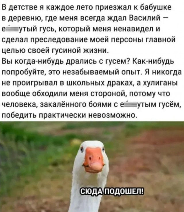 Всякое разное