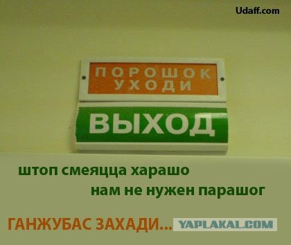 Переутомление, работает аки пчела