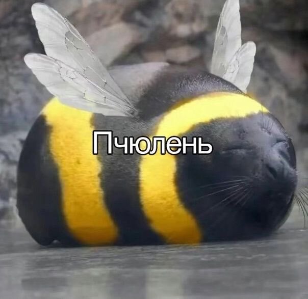 Картинки для деградации 44 (разной степени свежести)