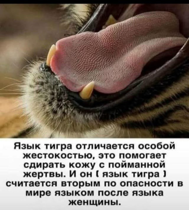 Субботние картинки