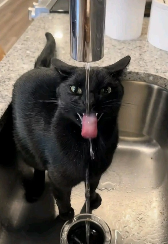 Картинки на 27.02.2026