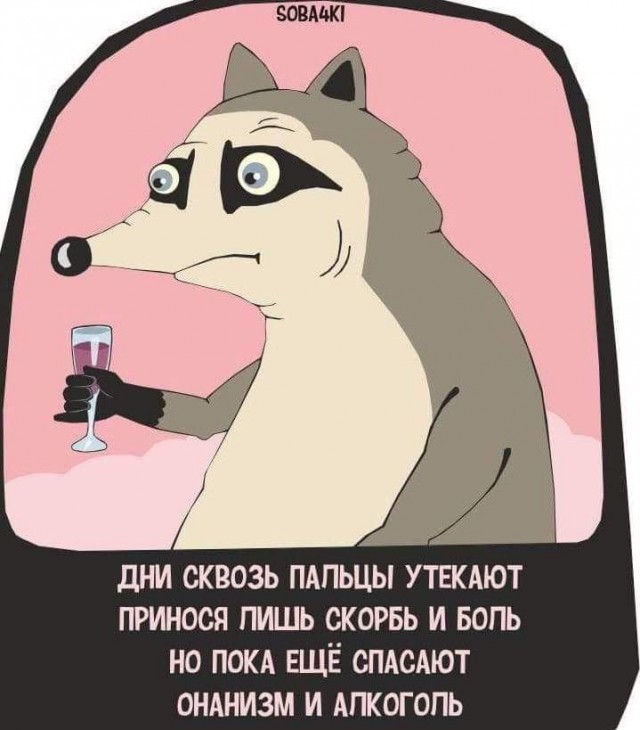 Субботние картинки