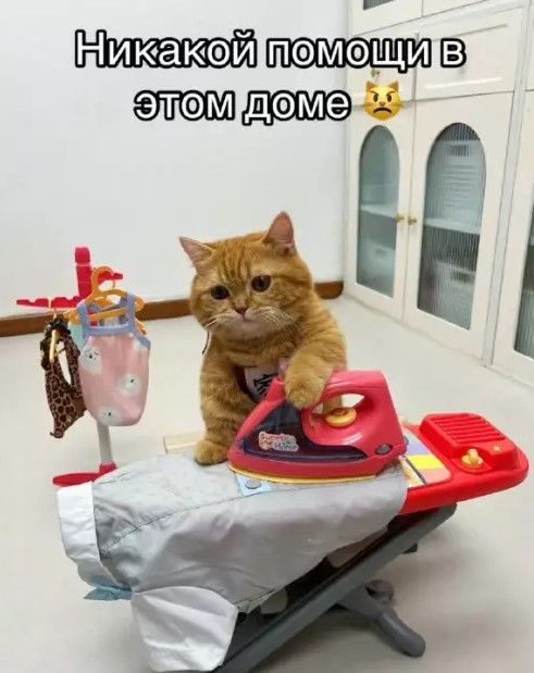 Котямбосы