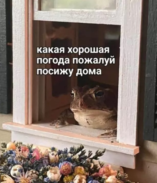 Картиночки, баянчики 27 июня