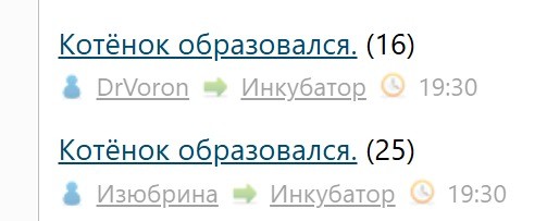 Котёнок образовался