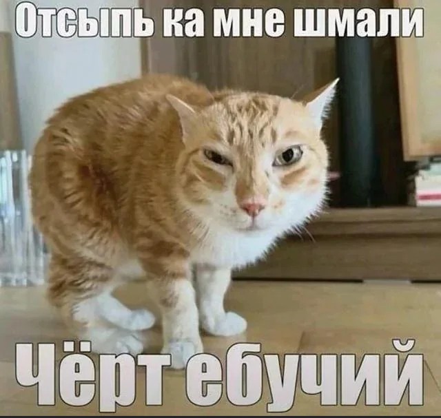 Пост для того, что надоть и давно не было!