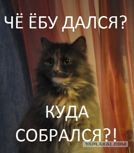 Суеверия