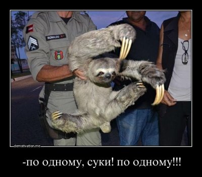 Стоять бояться!