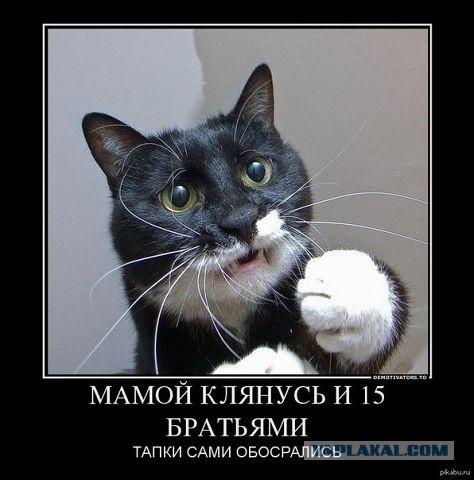 Не про олимпиаду