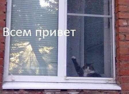 Тема для юмора