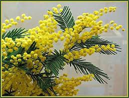 И ведь никуда не денешься...