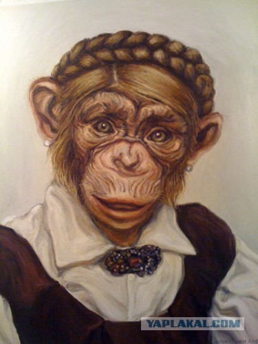 Бельгийская газета De Morgen