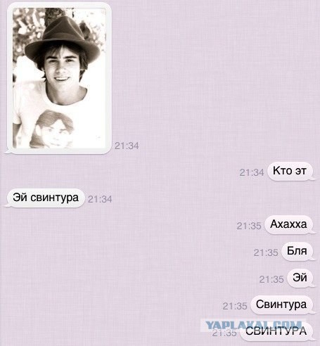 Грамматнасть и нтилехт вконтактовских обитателей