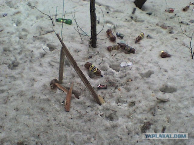 Вид из вашего окна