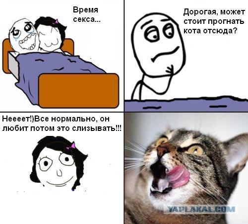Американцы шутят. Часть 1