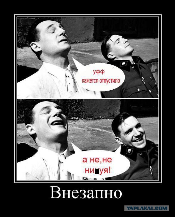 С миру по нитке. Демотиваторов чуть