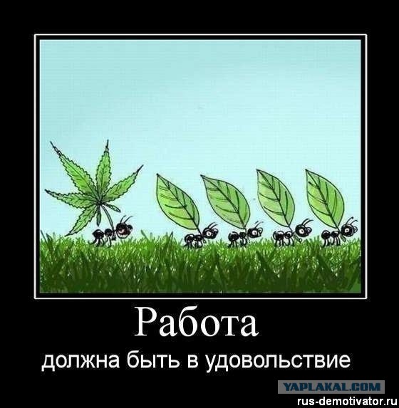 Чёрт, чёрт, чёрт!