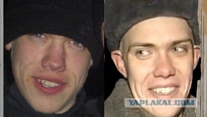 Спасение кота