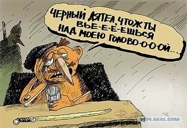 Смешные картинки
