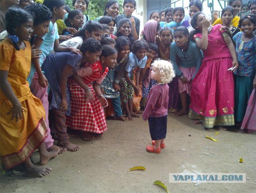 Один будний день индийской жены