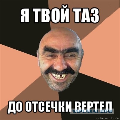15 фактов о непризнанной в России марке Renault