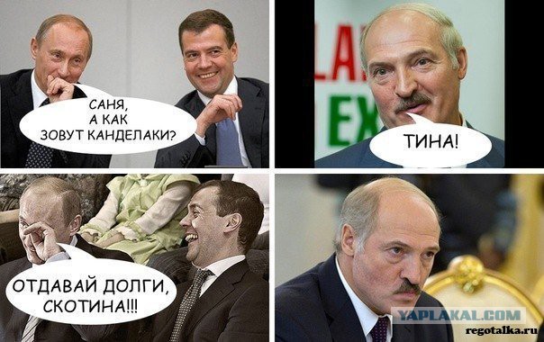 Забавные картинки из Сети