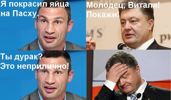 Круче только яйца