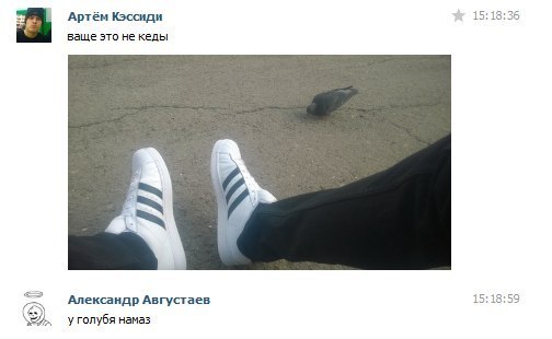 Ужасы и приколы из соцсетей 18+