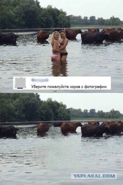 Ужасы и приколы из соцсетей 18+