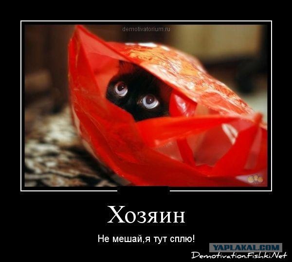 Моя подборка смешного из сети за 2012 год