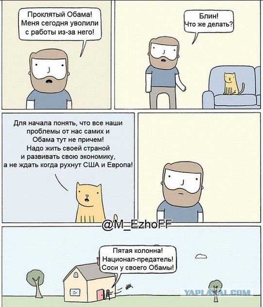 Мудрый кот