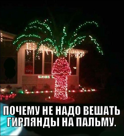 Картинки
