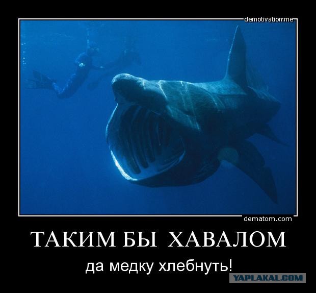 Лампочка во рту. МЧС-эдишн.