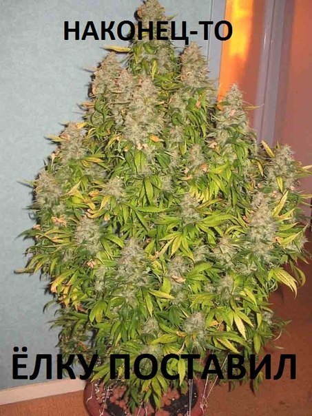 Картинки, надписи
