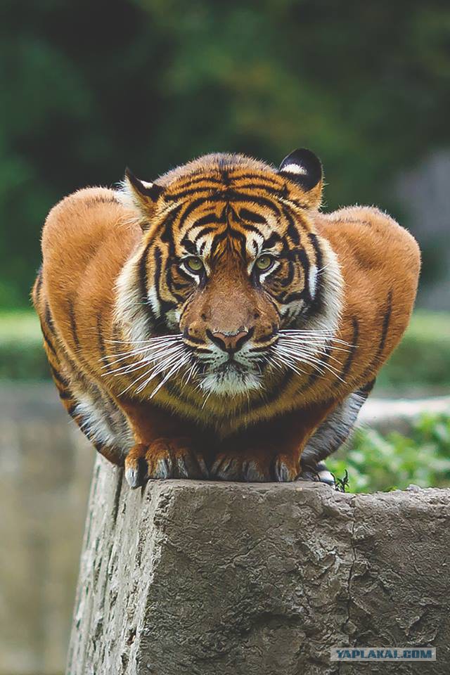 Разные картинки