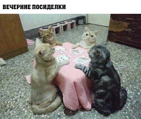 Картинки разные 2