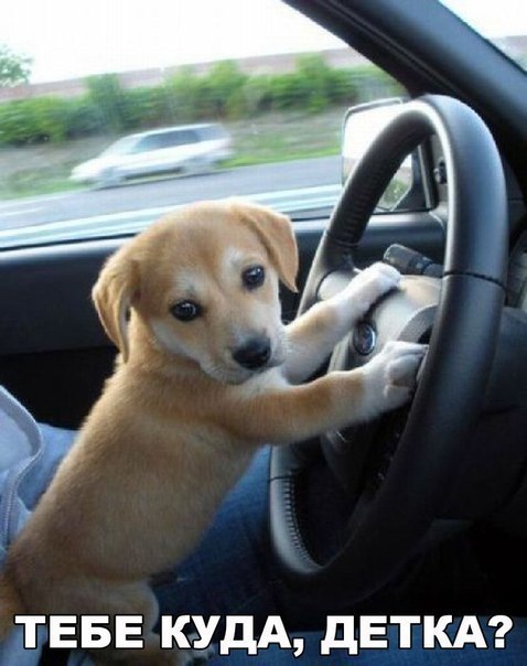 Подборка картинок на среду