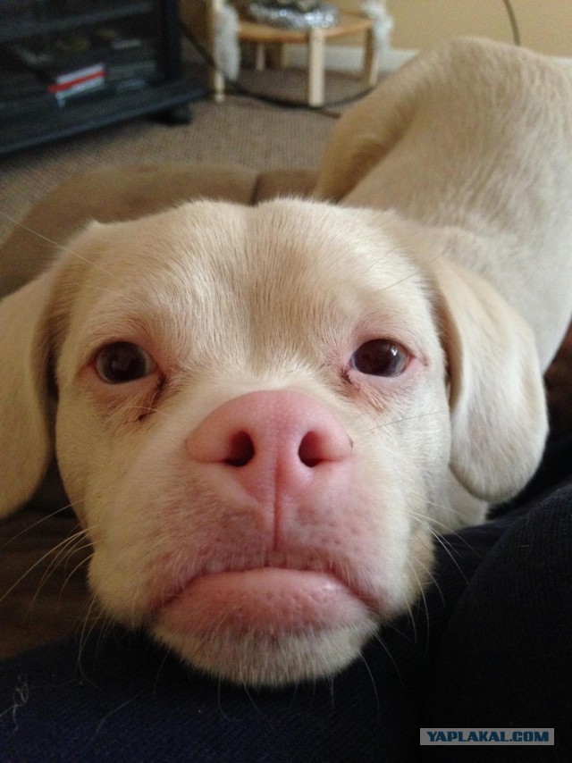 Подборка интересных и веселых картинок