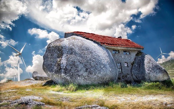 Интересные и веселые картинки