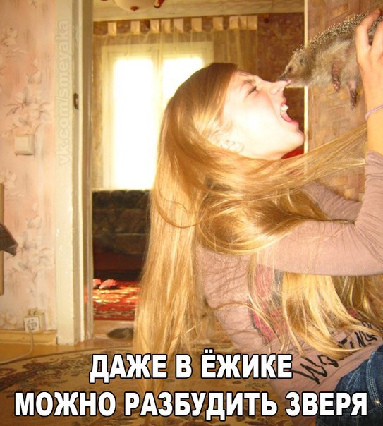 Ужасы и приколы из соцсетей 18+